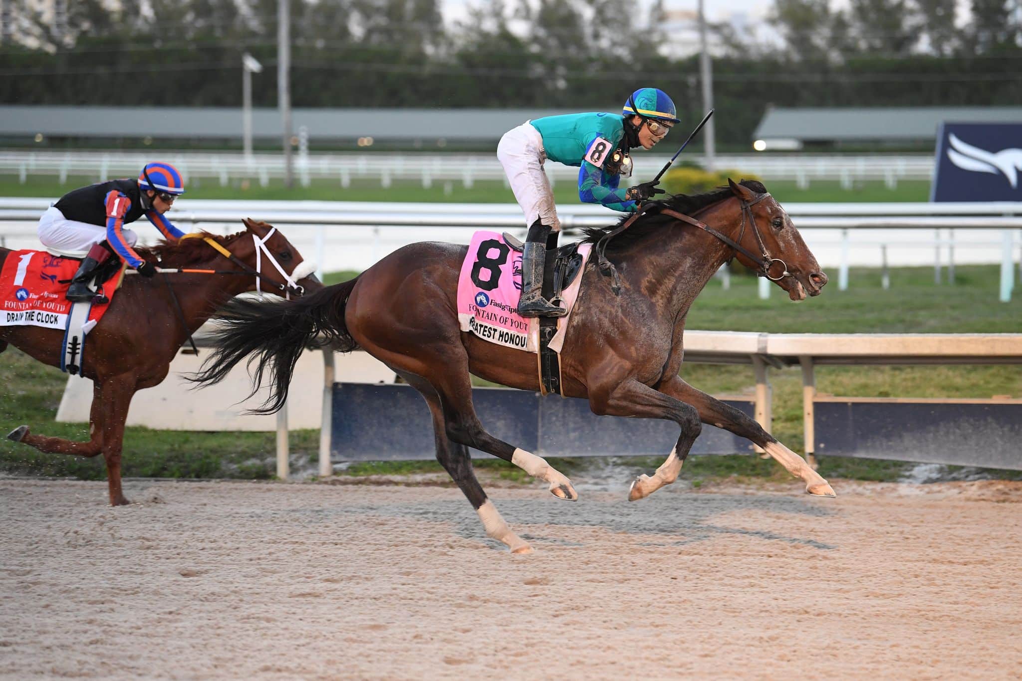 Greatest Honour at Spendthrift Farm
