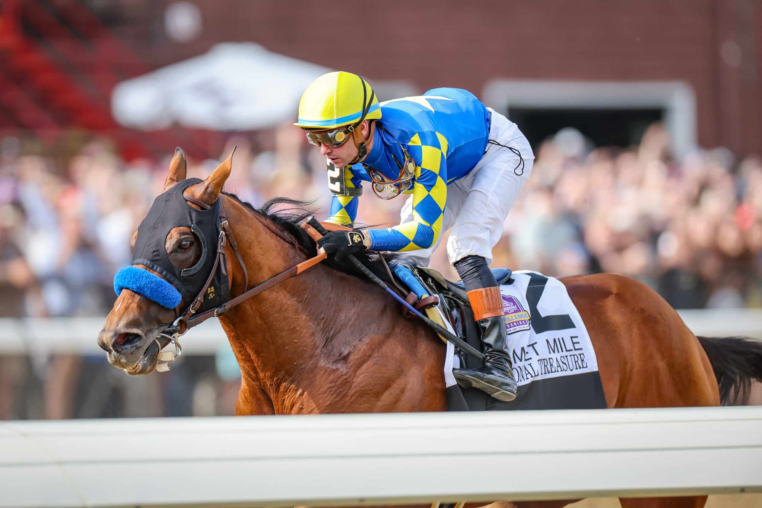 National Treasure at Spendthrift Farm