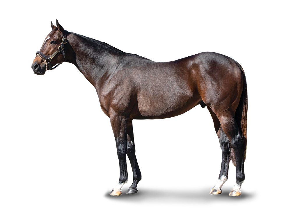 Ransom the Moon at Calumet Farm