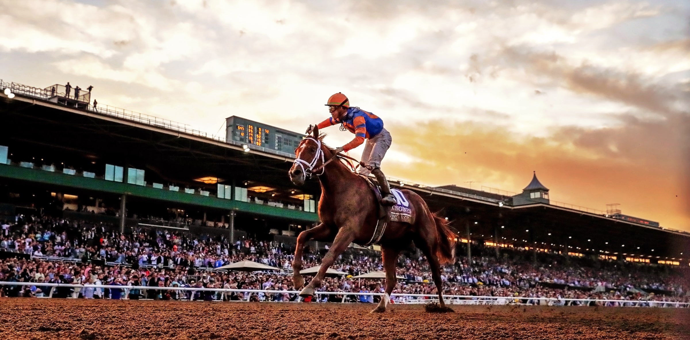Vino Rosso at Spendthrift Farm